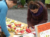 výstava tradičných sort jabĺk a hrušiek